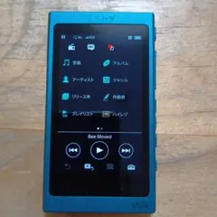 N*n様 S*i様 SONYウォークマンNW-A35 16GB　美品