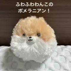 Item thumbnail for item 82977c27-c324-429e-9ff1-ed85615707d1