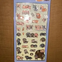 라라키라 씰 코기 닥스훈트