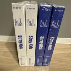 【新品未開封】straykids KARMA 通常盤2種 4枚セット