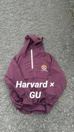 Item thumbnail for item c08425f3-bbf5-4742-a897-4c766bf12cf3