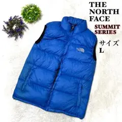 【希少】ザノースフェイス　ダウンベスト　青　ゴアテックス　サミットシリーズ