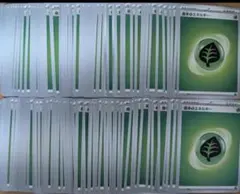 ポケモンカード 基本 草 エネルギー 100枚　絵柄型番不問