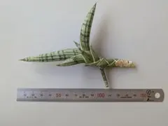 B-Rug様 リクエスト 2点 まとめ商品