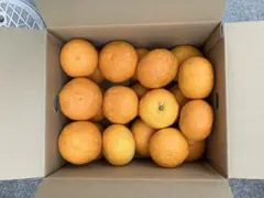 露茜 2kg 梅酒 シロップ ジャム 和歌山県産 2L - メルカリ