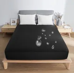 Item thumbnail for item 0b866b19-c0ca-4074-9d66-fd5910392025