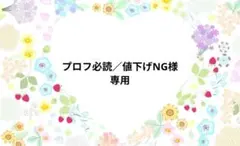プロフ必読／値下げNG様専用ページです