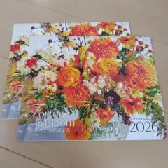 Item thumbnail for item ee455625-6473-4f50-bc2b-93ffcc7b11ae