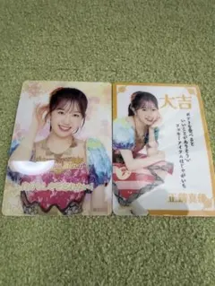 Item thumbnail for item 419d104b-1177-4aa7-b9a7-c4b338015fba