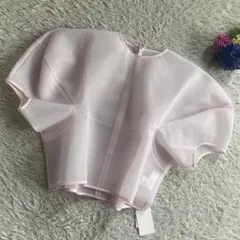 LIten Sheer Sculpture Tops(ミント) - メルカリ