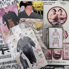 Item thumbnail for item d79c3ef9-000d-43cd-be83-a4b532d4ae16