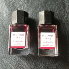廃盤パイロット躑躅15ml×2セット色彩雫 万年筆インク沼つつじ - メルカリ