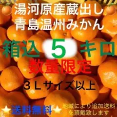 神奈川県湯河原❸産直 晩生 蔵出し 青島温州みかん 3Lサイズ以上5kg箱込