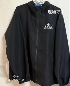 Item thumbnail for item 80ee3069-d623-4347-9351-465cda8c6ad8