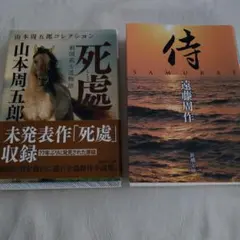 Item thumbnail for item d7c6c0da-30b4-4262-94aa-3aabc3dda3f0