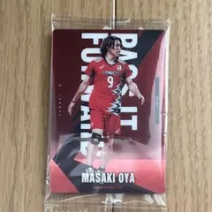 Item thumbnail for item 79593f97-2223-40b8-b470-dc08bf701b54