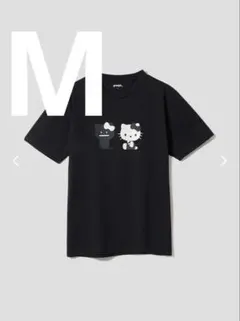 Item thumbnail for item 750657a2-fc25-40b4-9833-f11cfa5e39c3