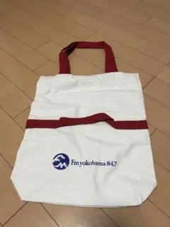 Item thumbnail for item 118fc763-66ef-440e-87c9-3f76e6076f69