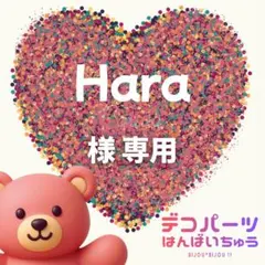 Hara 様　専用ページ
