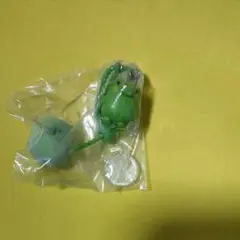 緑色 カプセルトイ プラスチック製