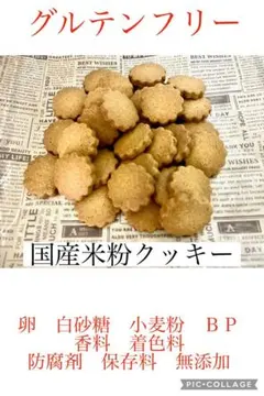 サクサクシュワホロほんとの国産米粉クッキー30枚のサムネイル