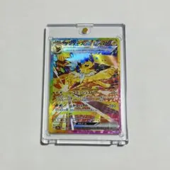 サンダースex sar テラスタルフェスexのサムネイル