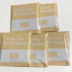 StrayKids 展覧会 アクリルスタンドチャーム 新品未開封 ハン ×5