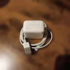 iPad 10W USB電源アダプターとケーブル