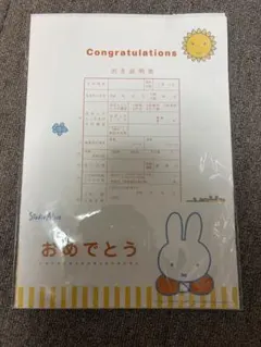 出生届 ミッフィー　はらぺこあおむしのサムネイル