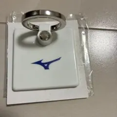 Item thumbnail for item 50bb7748-f57f-4055-86dc-25399c19ee12