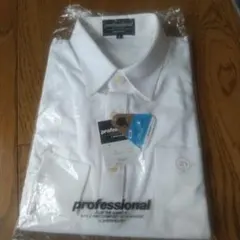 Item thumbnail for item 25e3c009-d6ff-4b82-abe1-c921fc6baab8