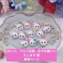 はいど。プロフ必読、必ずお願いいたします 様専用ページ
