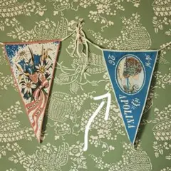 apolina 限定　フラッグ　flag