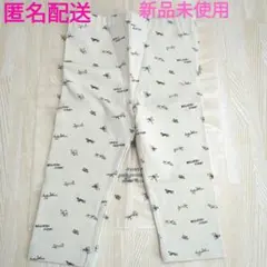 【新品未使用】インセクトコレクション　昆虫レギパン　レギンス　パンツ　抗菌　防臭のサムネイル