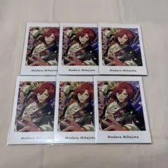 三毛縞斑 ぱしゃっつセット