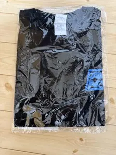 MyGO トゲナシトゲアリ Avoid Note Tシャツ Lサイズ