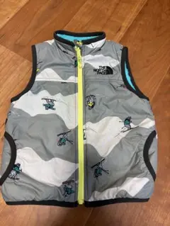 THE NORTH FACE ダウンベスト スキーキャラクター