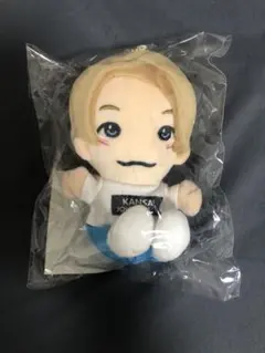 正門良規　ちびぬい　Aぇgroup