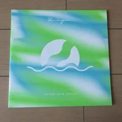新品 Yogee New Waves PARAISO 10thアナログ レコード - メルカリ