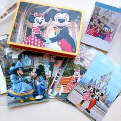ディズニー　実写　ポストカードセット　35枚 ミッキー ミニー 新品