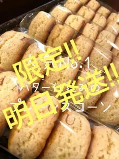 6月23日発送　バター仕込みのプレーンスコーン　スコーン屋さん　焼菓子手作り2のサムネイル