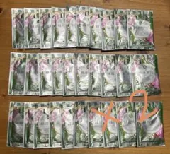 Item thumbnail for item e62de35f-8592-42e3-8c81-07a96e5ad81f