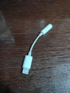Apple純正 lightning変換アダプタ