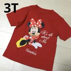 3T Disney ディズニー　ミニー　Hawaii ハワイ　Tee ゆったり