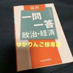 【ゆかりんご様専用】山川一問一答 政治・経済