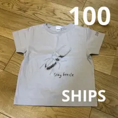 SHIPS クワガタTシャツ 100cm グレー