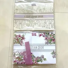 CHRISTIAN DIOR ショップ袋 2枚セット