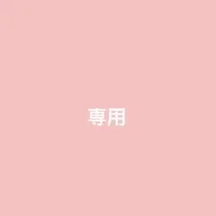 専用