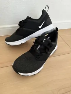 Item thumbnail for item 1a3f6bb4-15a9-4e13-9cab-c1a0312c0f19