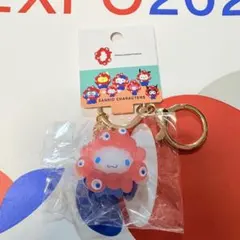 サンリオ　キーホルダー　ミャクミャク　クリアカラー　シナモロール　新品未開封